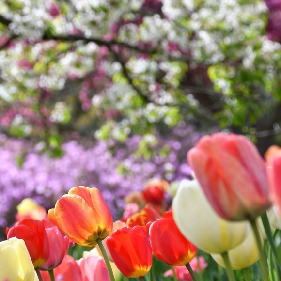 SALE ENDED - Picture 2 of 3